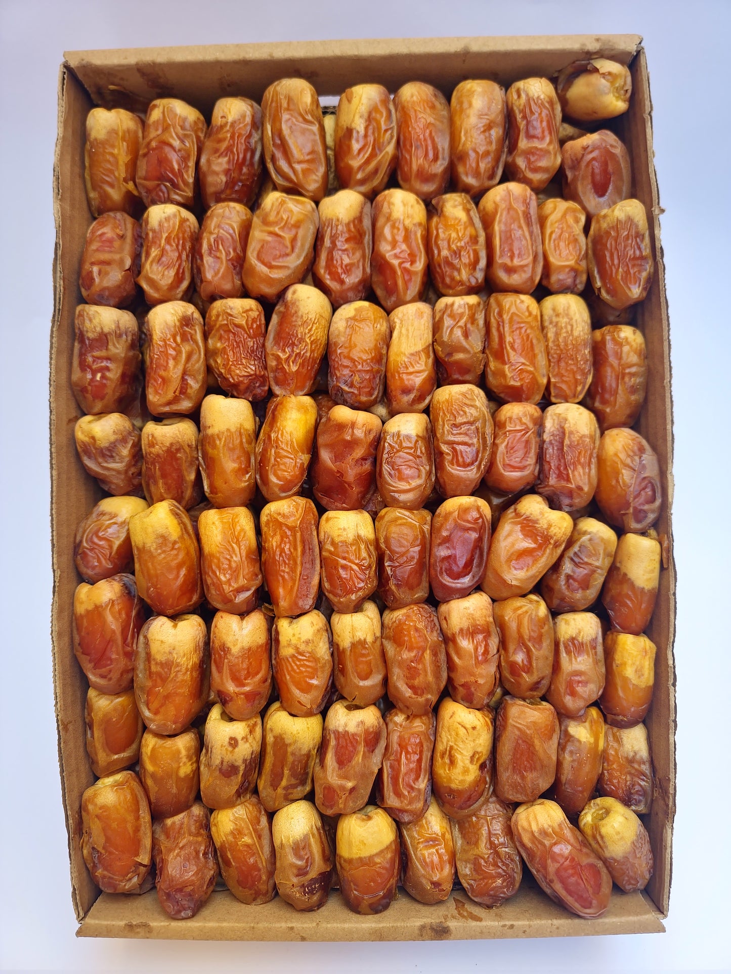 صقعي.