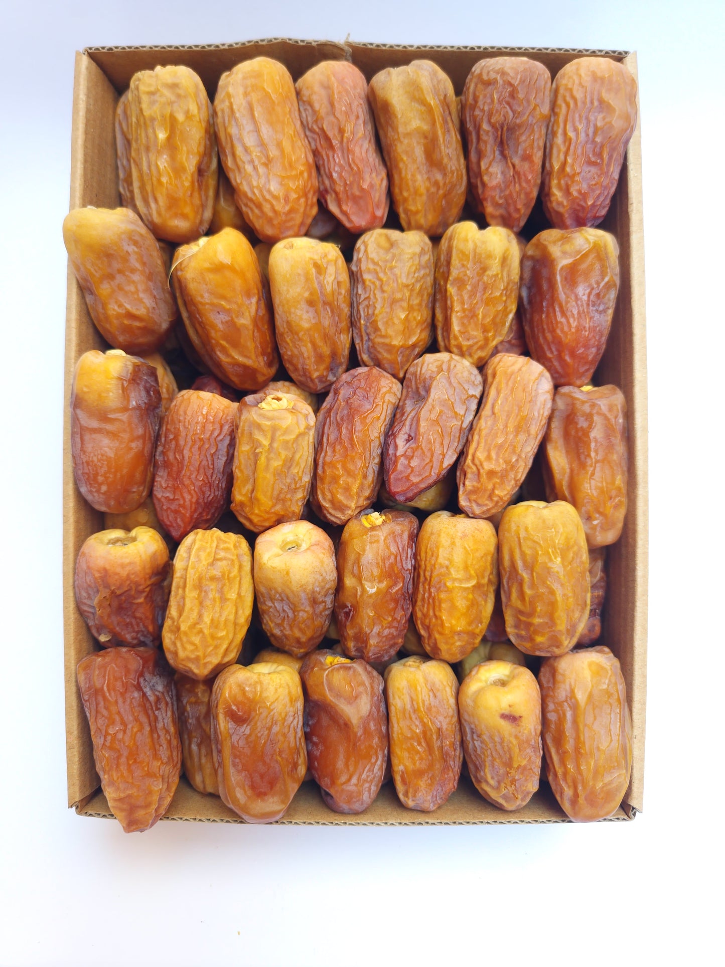 رشودية.