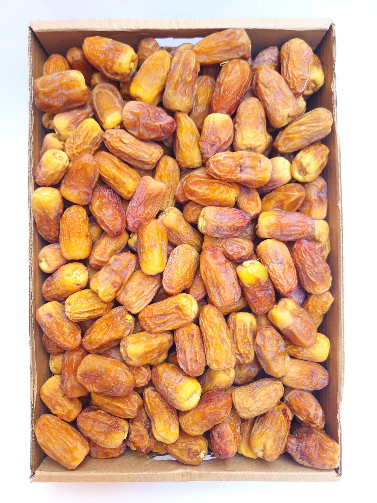 رشودية.