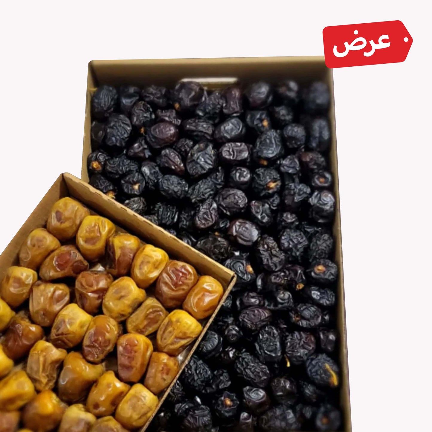 عرض عجوة المدينة + رطب هدية.