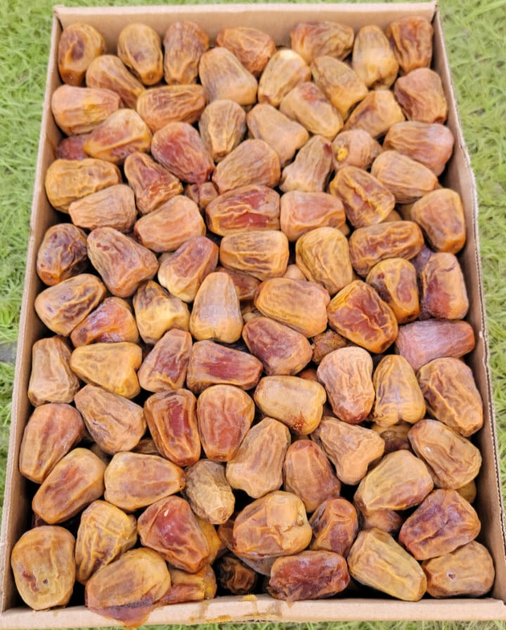 عرض السكري المفتل قطفة اولي