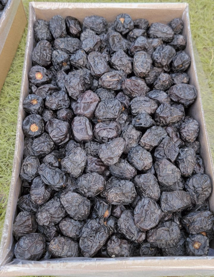 عرض عجوة المدينة مع كيلو رطب