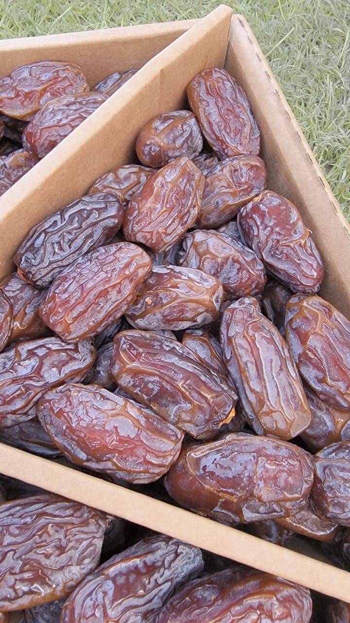 مجدول اردني جامبو.