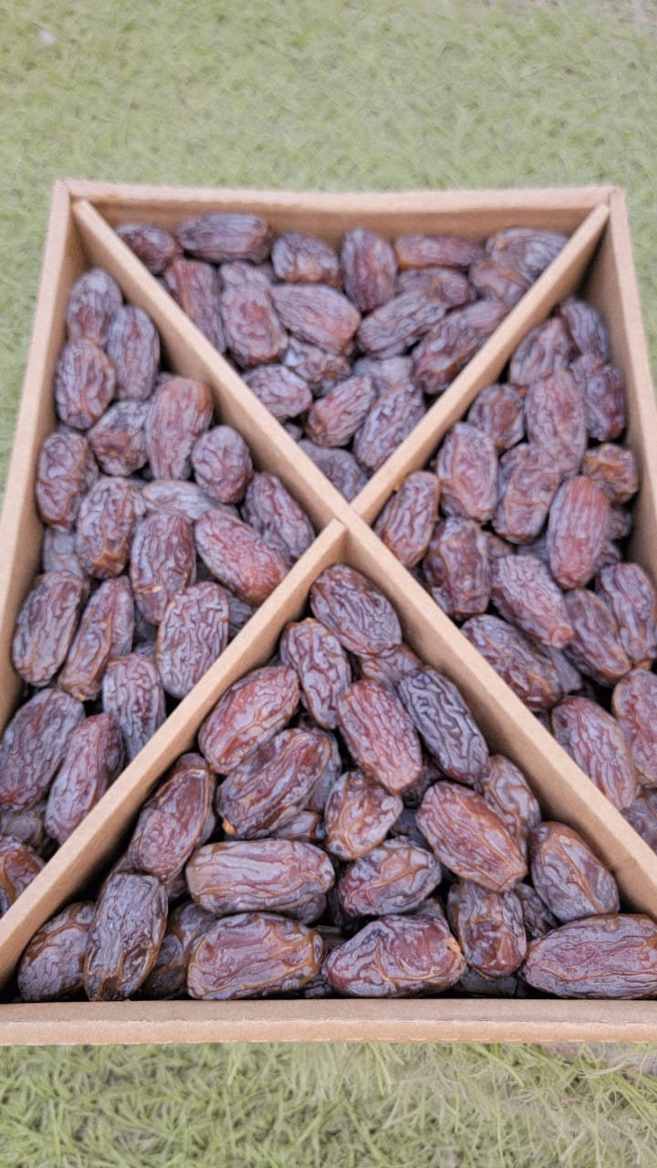 مجدول اردني جامبو.