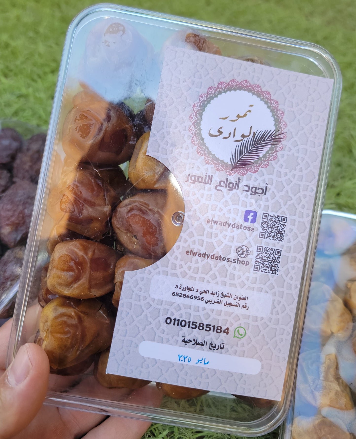 تشكلية تمور,