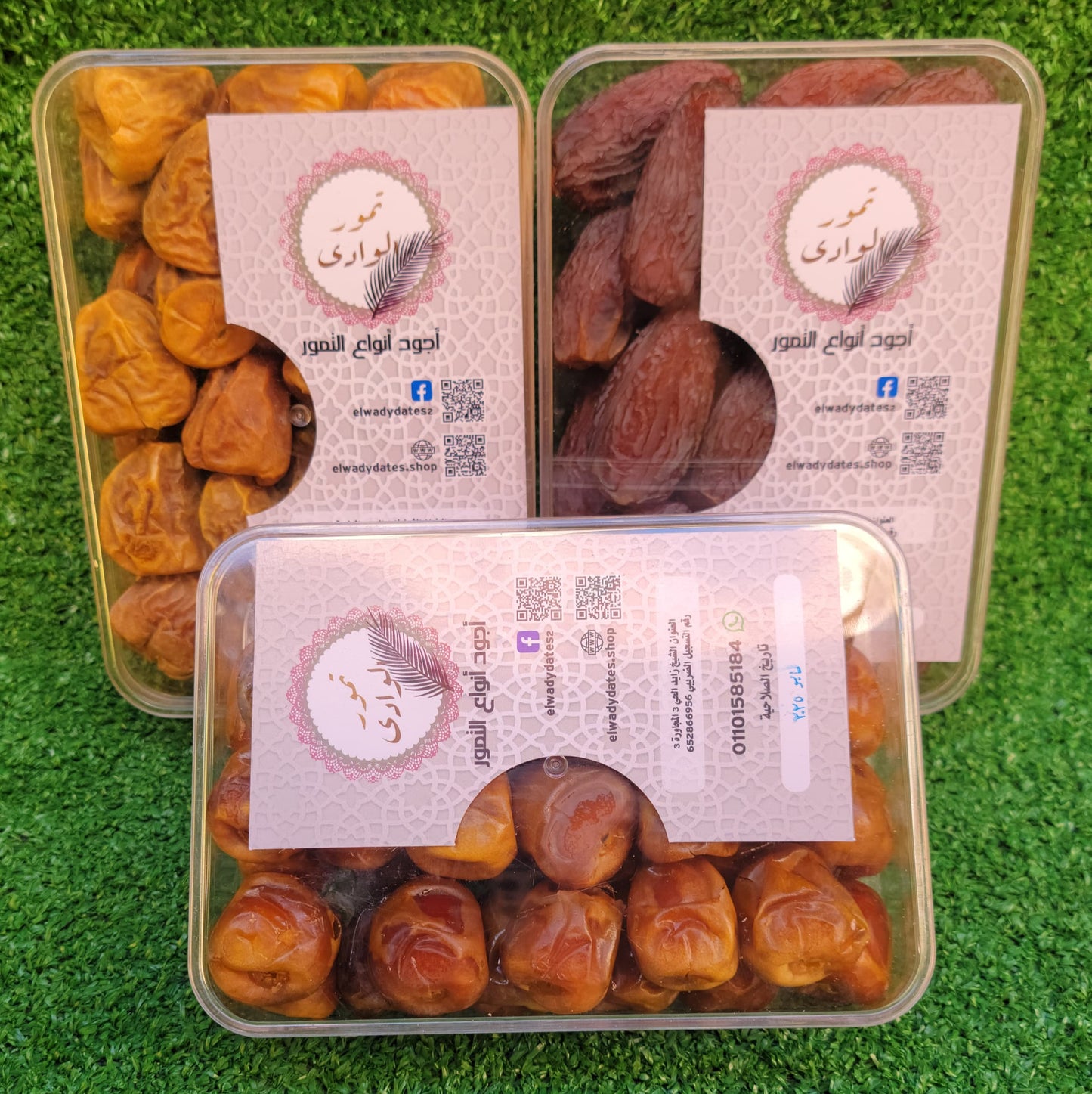 تشكلية تمور,