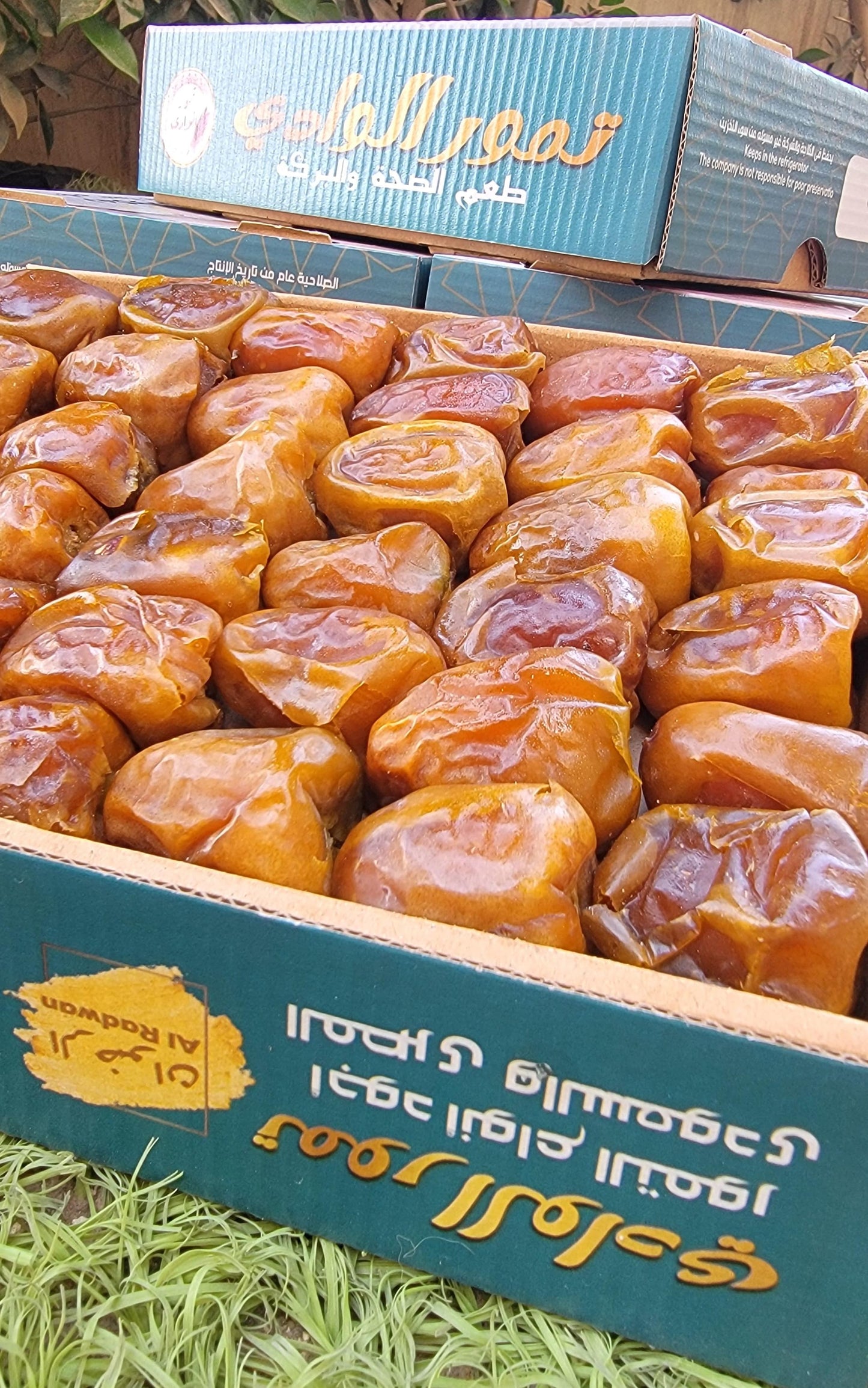 سكري رطب.
