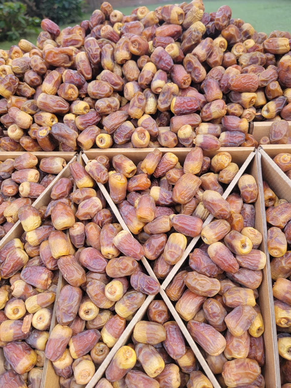 تمر الوادي الفاخر - طبيعي نص جاف