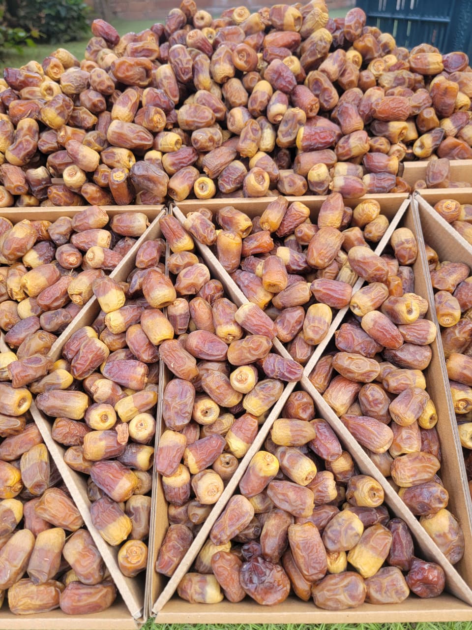 تمر الوادي الفاخر - طبيعي نص جاف