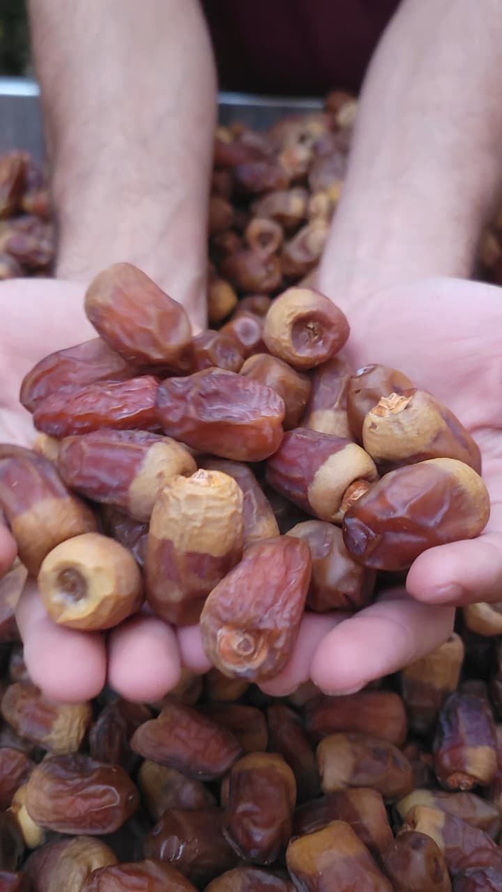 تمر الوادي الفاخر - طبيعي نص جاف