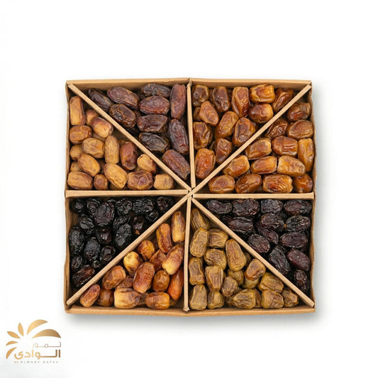 كرتونه مكس تمور .( سعودي و مجدول اردني)