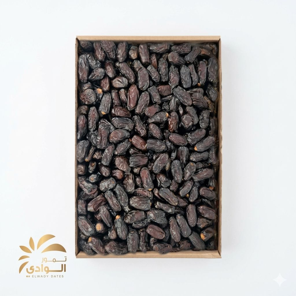 صفاوي المدينة جامبو