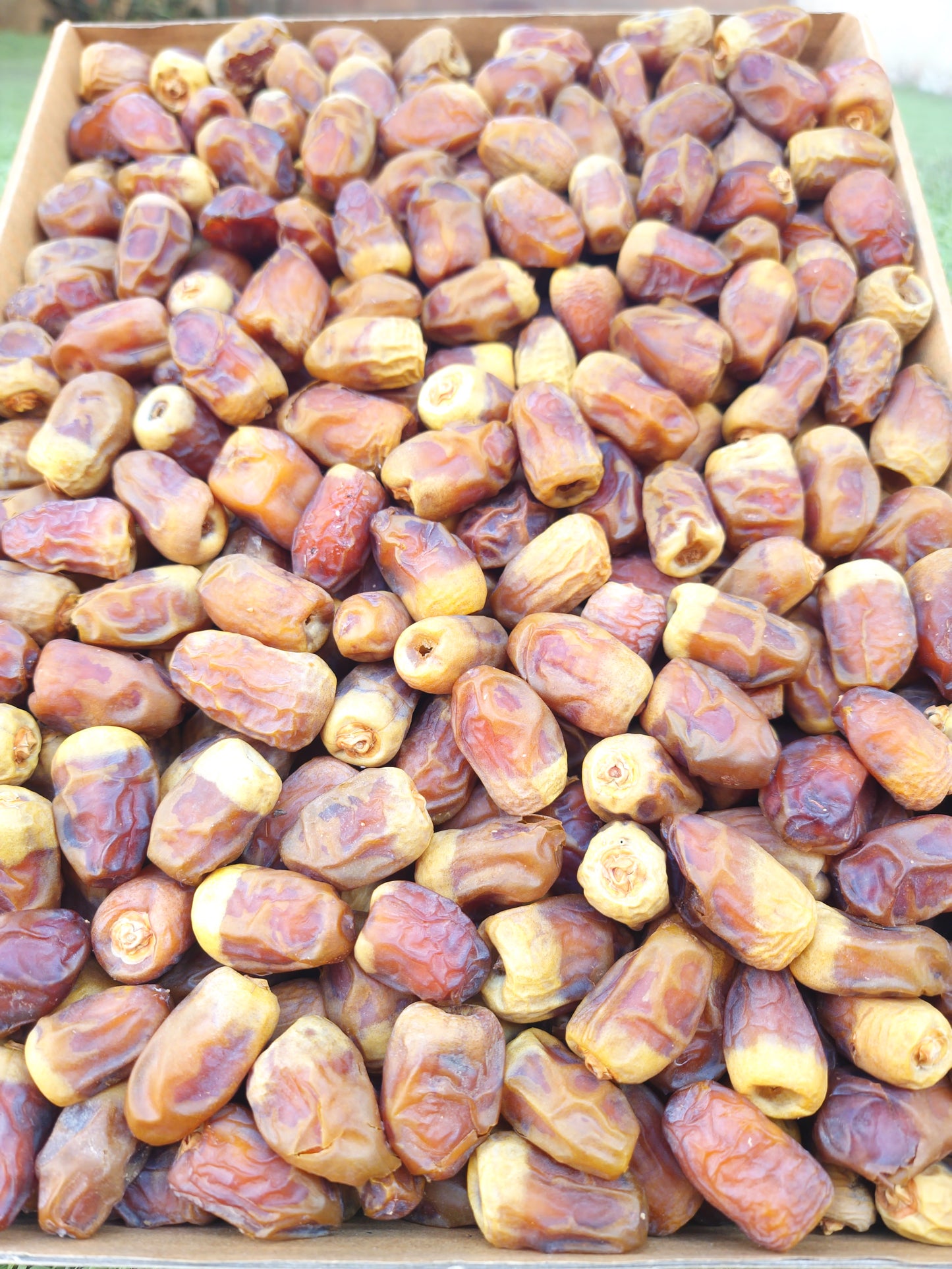 تمر الوادي الفاخر - طبيعي نص جاف